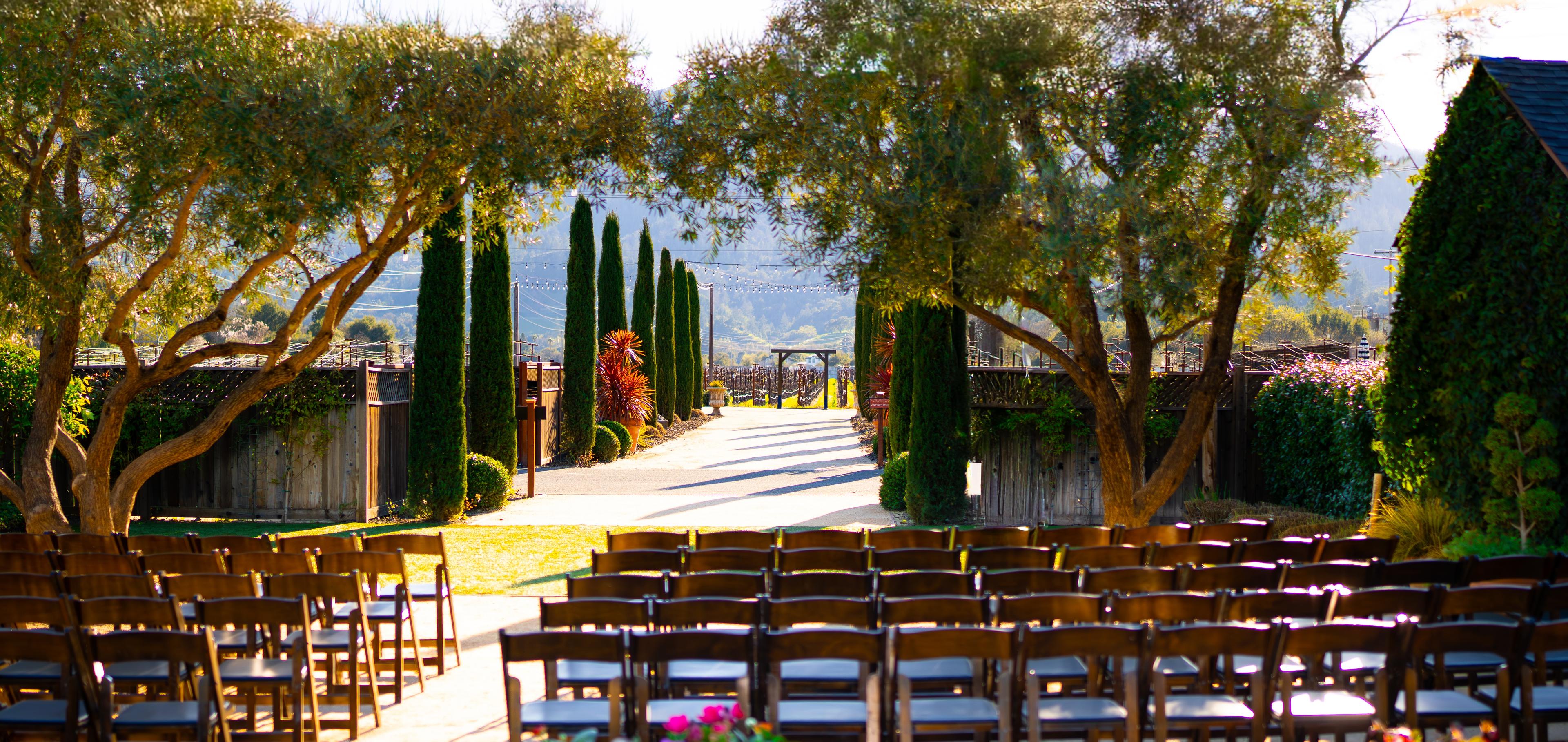 Special LIMITED TIME  OFFER: