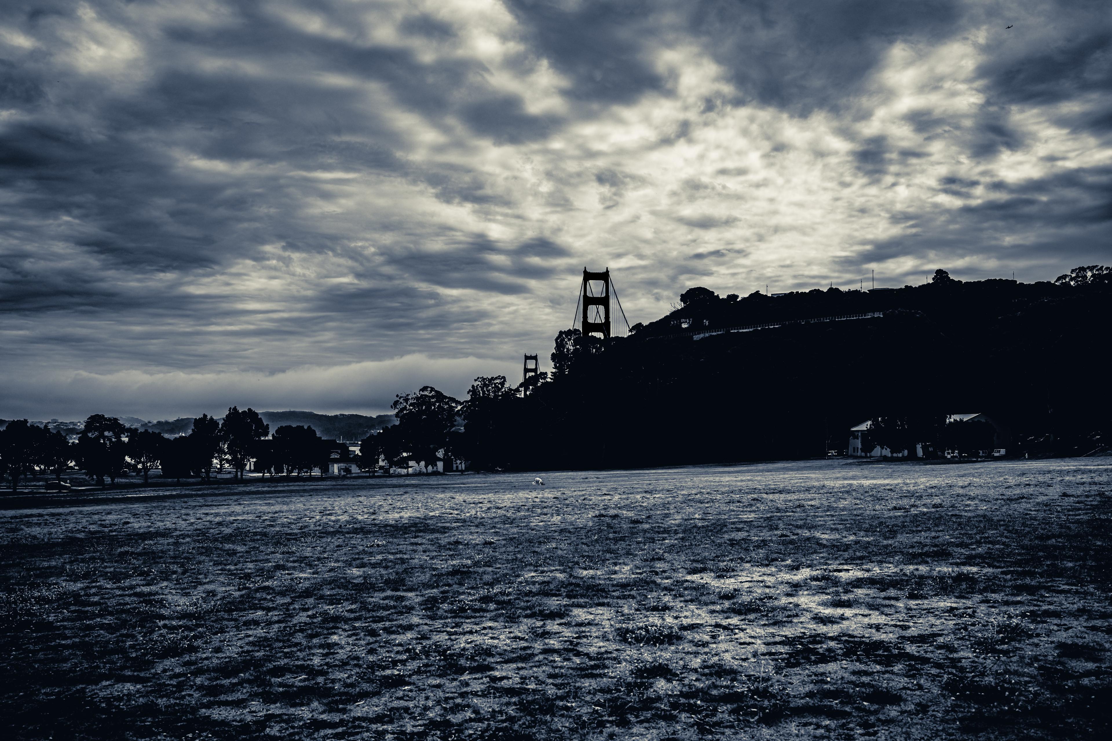 Cavallo Point Wedding Venue Review: A Photographer's Paradise in Sausalito